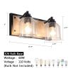 2-Light Black Vanity Light with Seeded Glass Shades