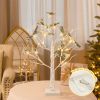 Lighted Money Trees with Greeting Cards, Gift Holders for Special Occasions