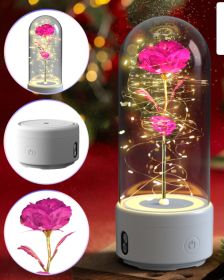 Creative 2 In 1 Rose Flowers LED Light And Bluetooth-compatible Speaker Valentine's Day Gift Rose Luminous Night Light Ornament In Glass Cover (Option: White Base Color Flower)